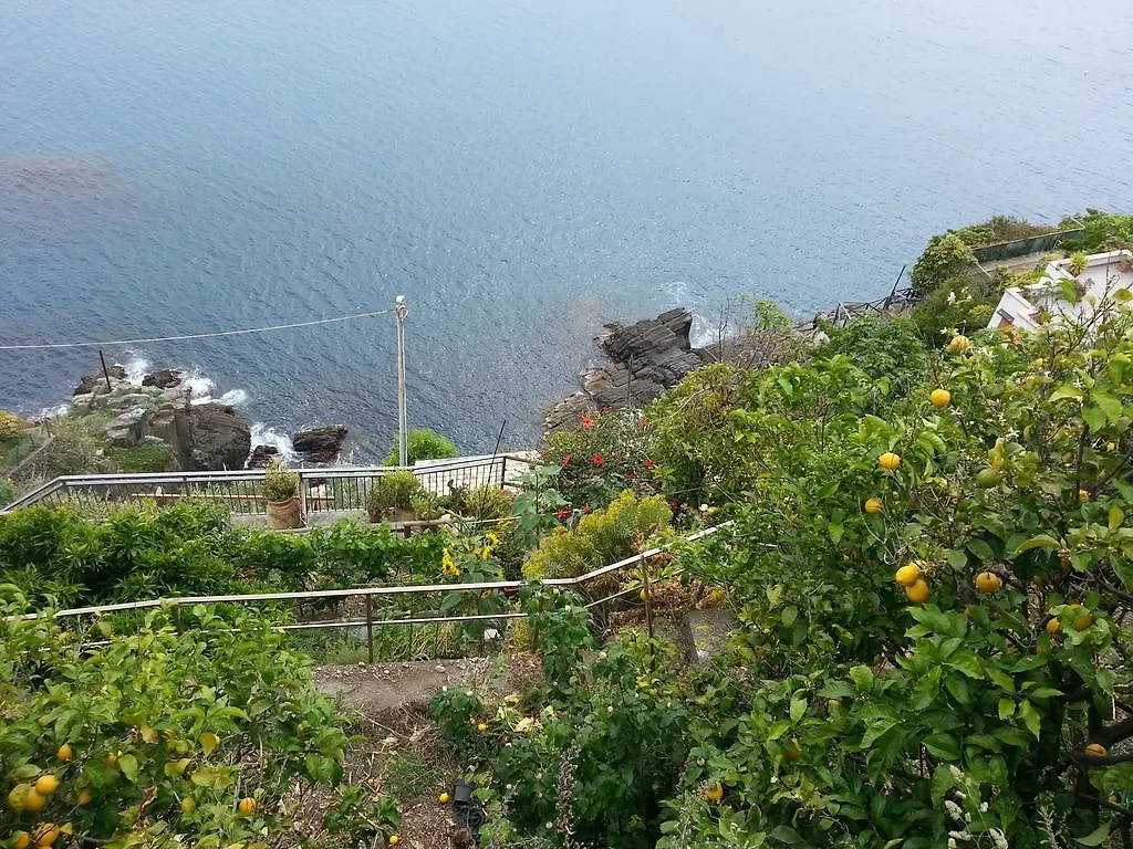 Affittacamere La Branda La Spezia Gasthof